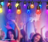 Glow Sound Activated LED Festoon Lights|Glow Remote Control Sound and Music Activated LED Outdoor Festoon Lights